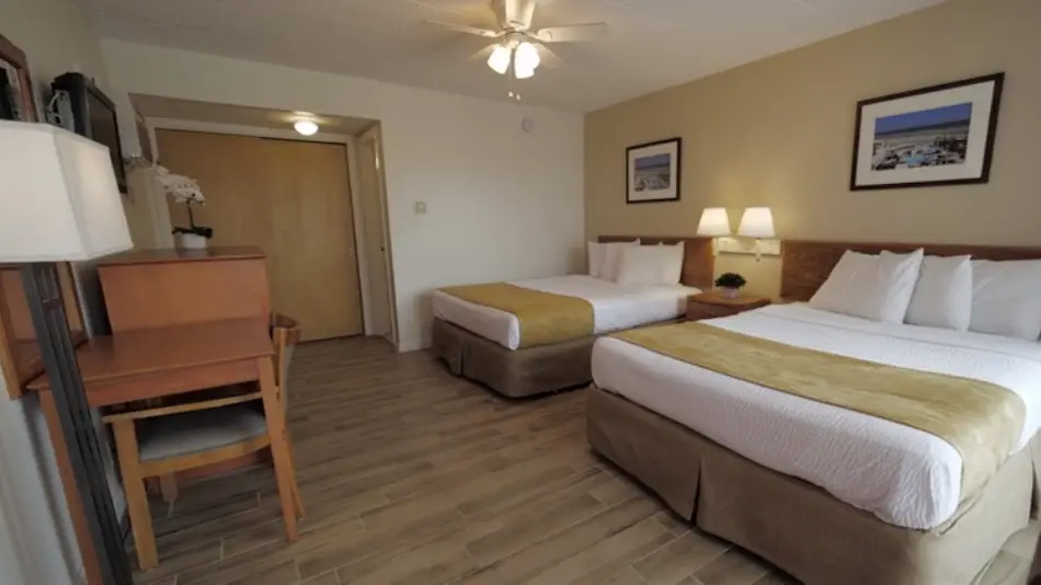 Type 2 Oceanview Motel Room at the Matador, with a bed facing the window and a view towards the beach
